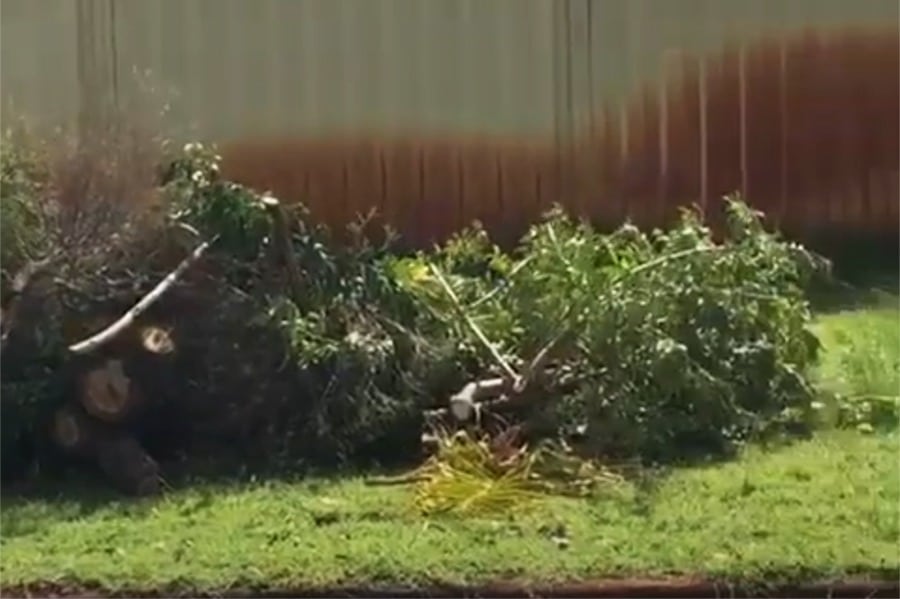green waste removal Perth