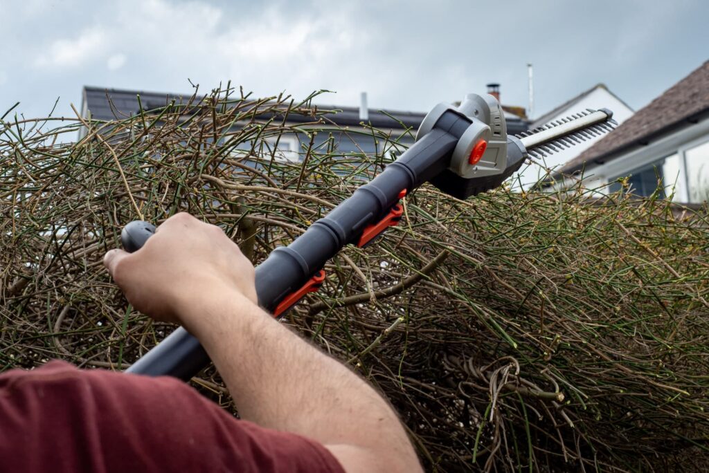 Green Waste Removal