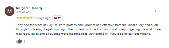 Google Review