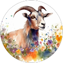 Kim G. profile picture
